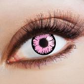 Lentilles fantaisie daisy
