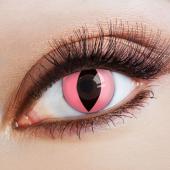 Lentilles fantaisie cat in pink