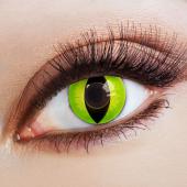 Lentilles fantaisie devilish cat