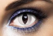 Lentilles fantaisie chat blanc