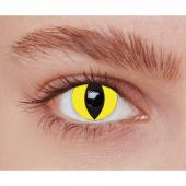 Lentilles fantaisie chat jaune - sans correction