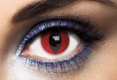 lentilles fantaisie chat rouge