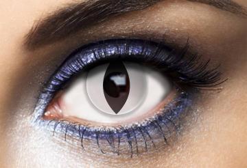 Lentilles fantaisie chat blanc