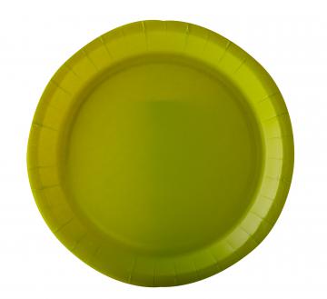 10 assiettes carton vert anis