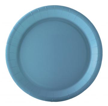 10 assiettes carton bleu