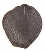 Sachet de 100 pétales avec feuilles couleur noir