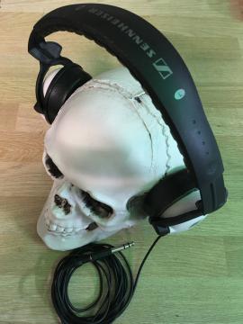 Casque hd25 sennheiser